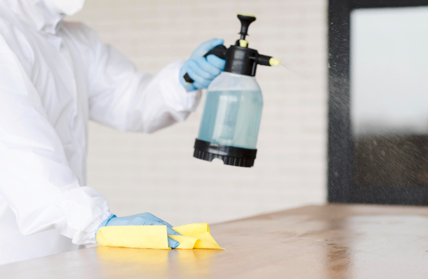 Pest control service image 1