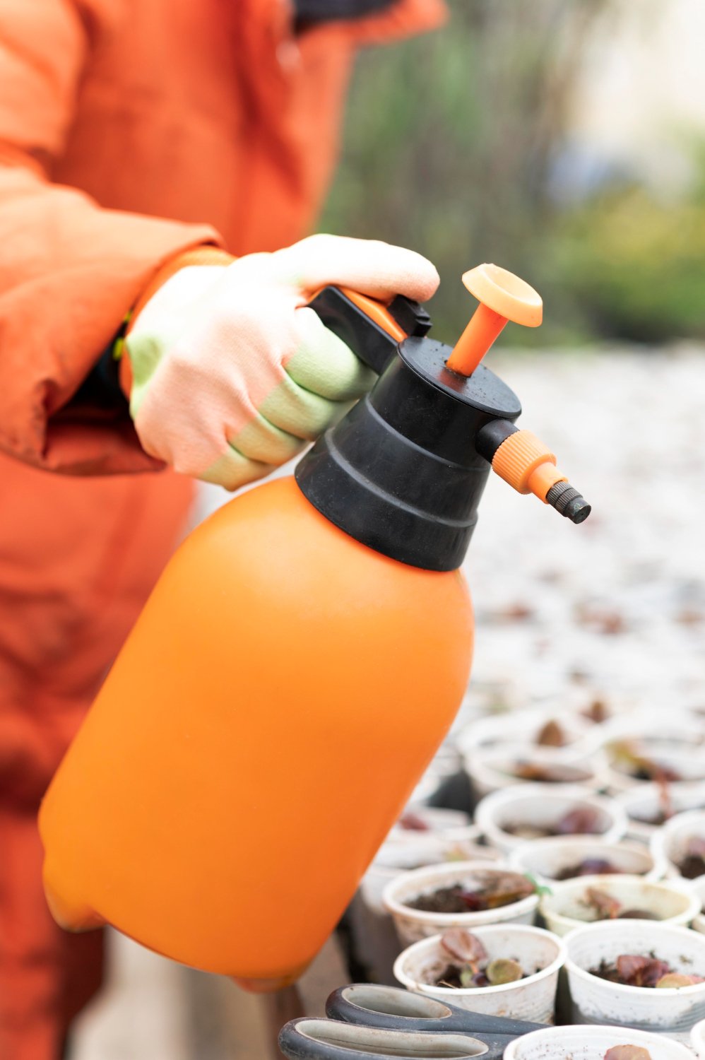 Pest control service image 2