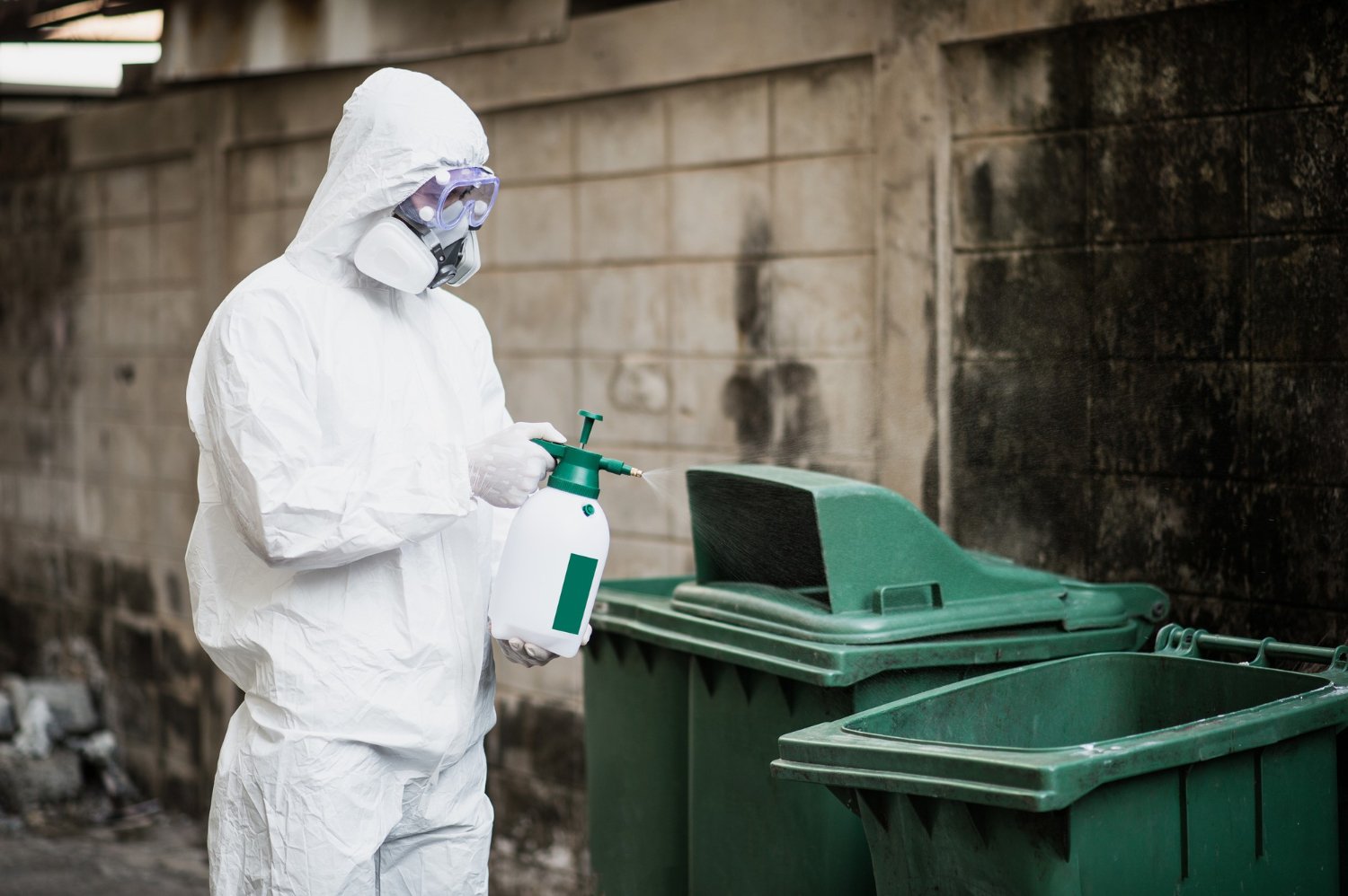 Pest Control Professionals at Work